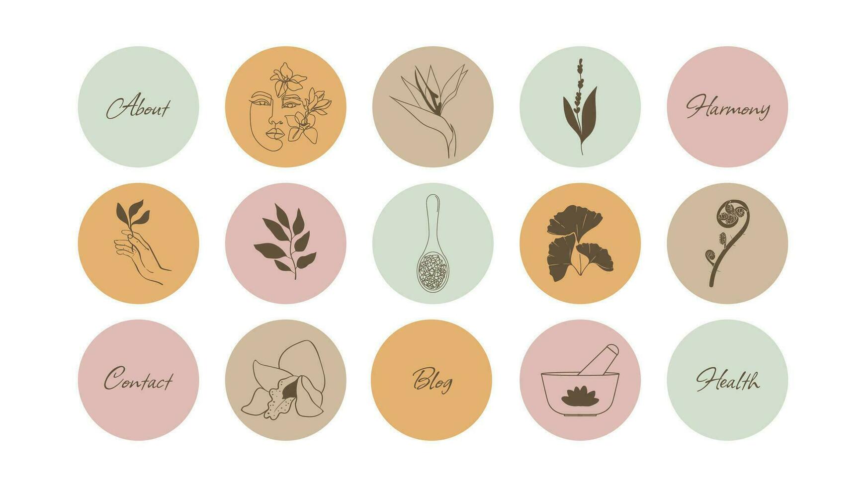 points forts pour une Blog et social réseaux à propos beauté, cosmétique médicament et aux femmes santé. Icônes pour une page à propos herbes. boho vecteur