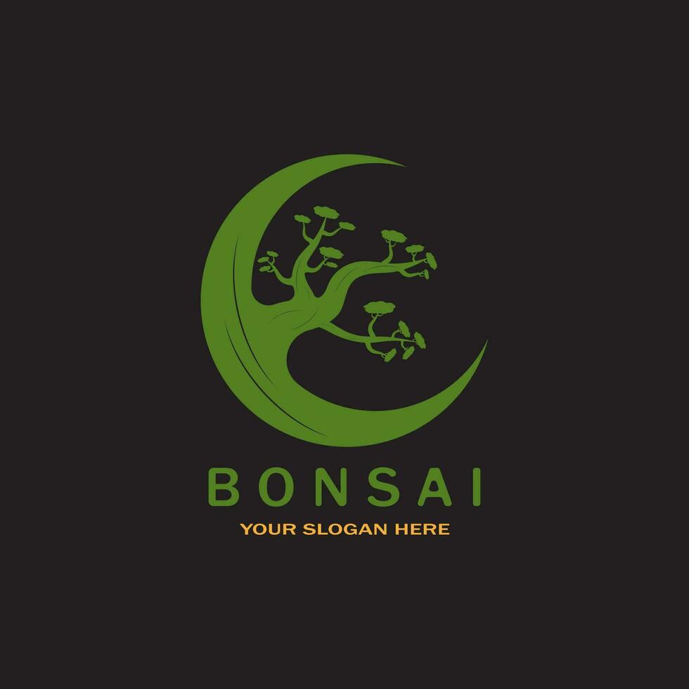 bonsaï logo conception. Japonais mini petit plante arbre silhouette logo conception vecteur