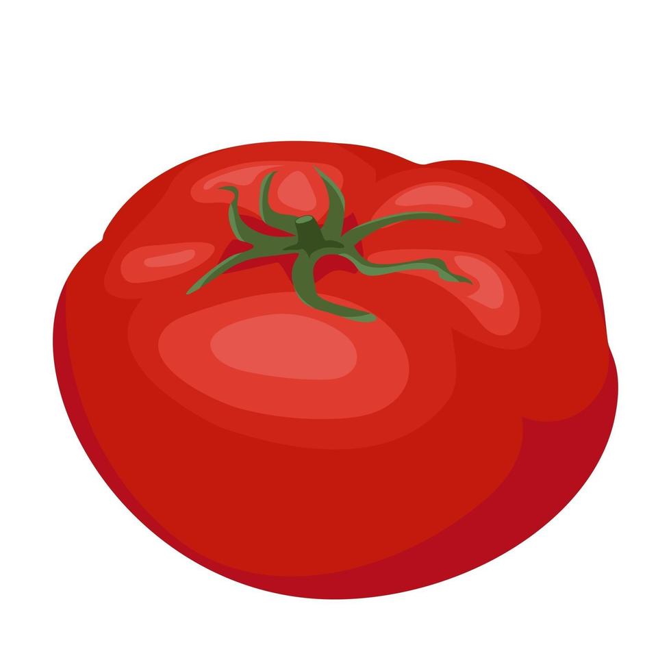illustration de vecteur de dessin animé objet isolé nourriture fraîche légume tomate