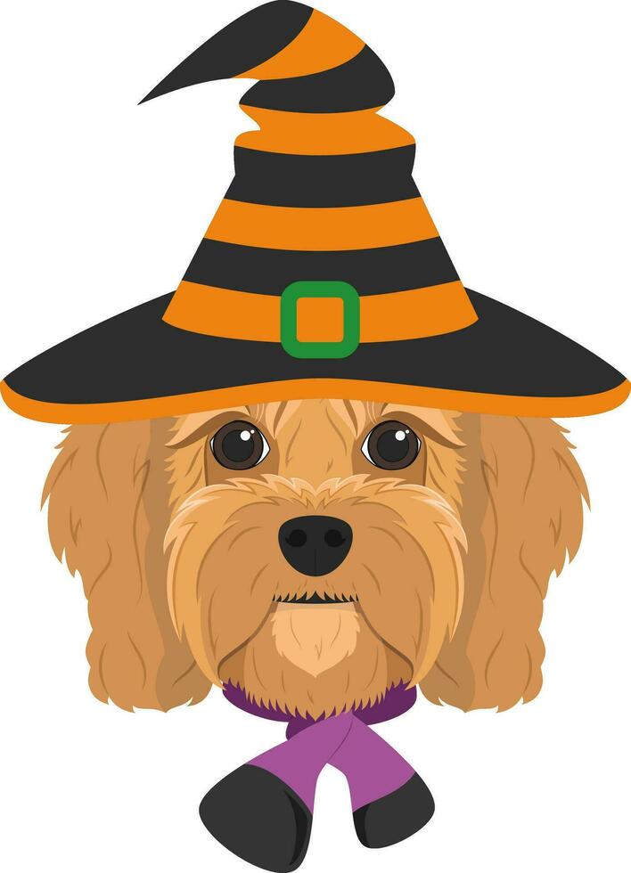 Halloween salutation carte. cavoodle chien habillé comme une sorcière avec noir et Orange chapeau et violet et noir écharpe vecteur