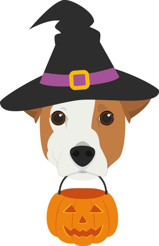 Halloween salutation carte. jack Russell chien habillé comme une sorcière avec noir chapeau et une citrouille dans le bouche vecteur