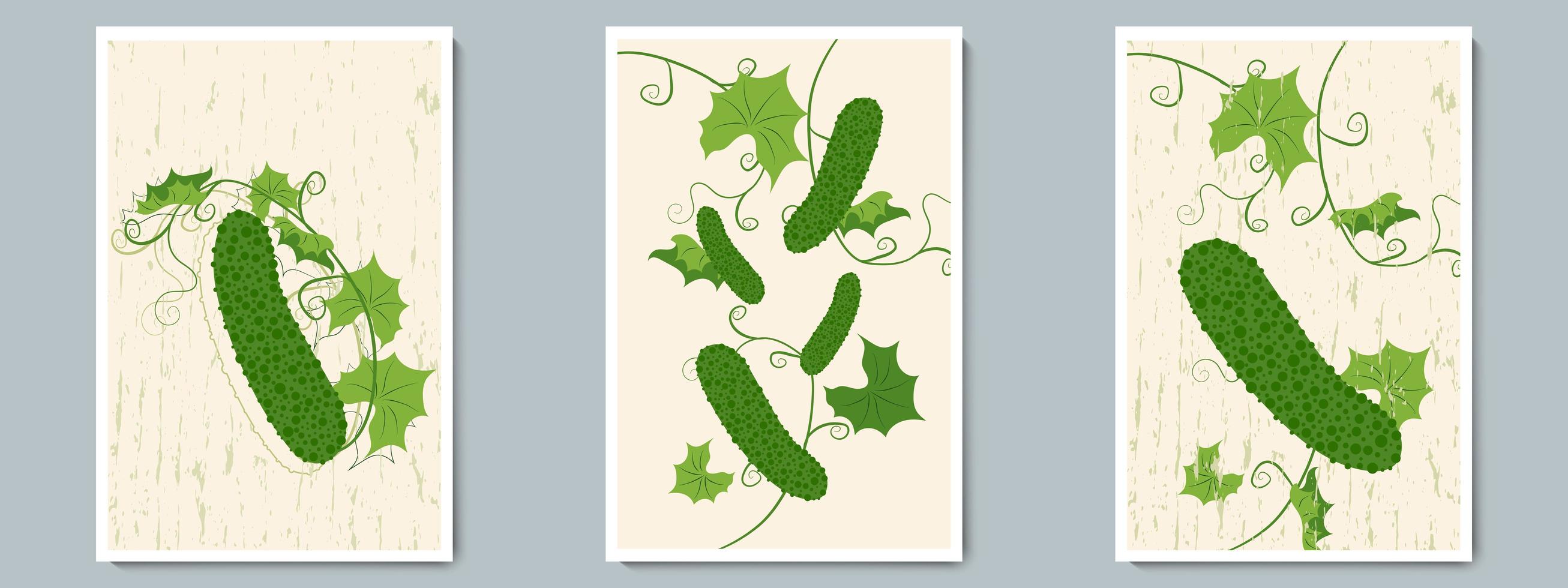 ensemble d'affiches de concombre. art mural coloré. légume minimaliste avec des feuilles vertes, une ligne de contour et un fond de texture vecteur