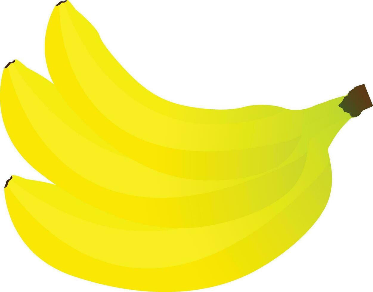 bananes isolés sur fond blanc vecteur