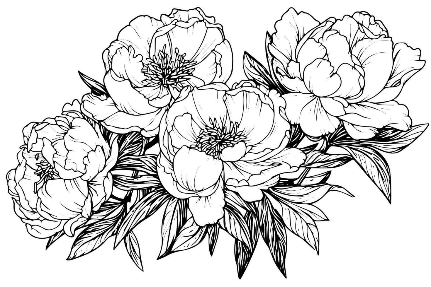 pivoine fleur et feuilles dessin. vecteur main tiré gravé encre illustration