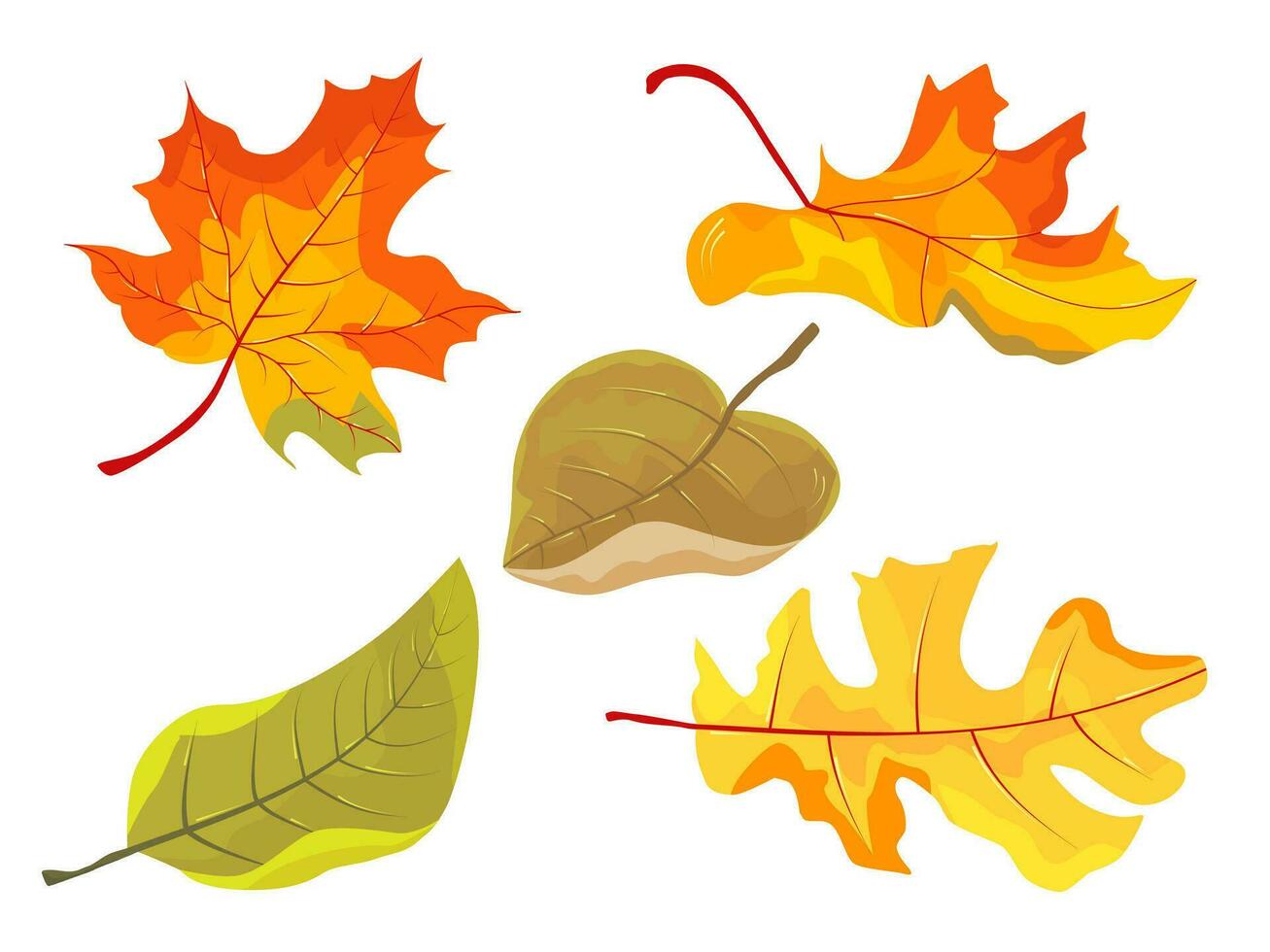 érable feuilles ensemble isolé sur blanc Contexte. l'automne et main tiré vecteur illustration chute feuilles.