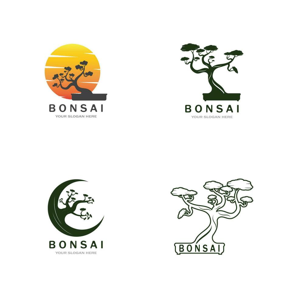 bonsaï logo conception. Japonais mini petit plante arbre silhouette logo conception vecteur