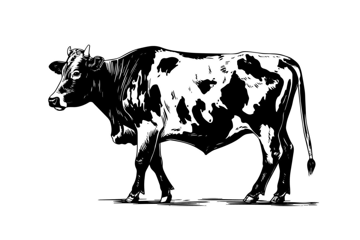 alpin vache vecteur main tiré gravure style illustration