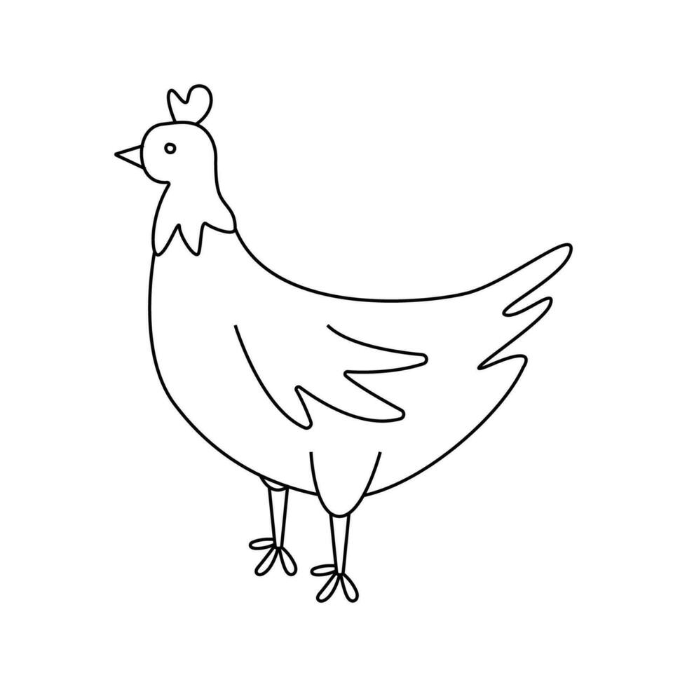 vecteur illustration de une poulet dans griffonnage style.