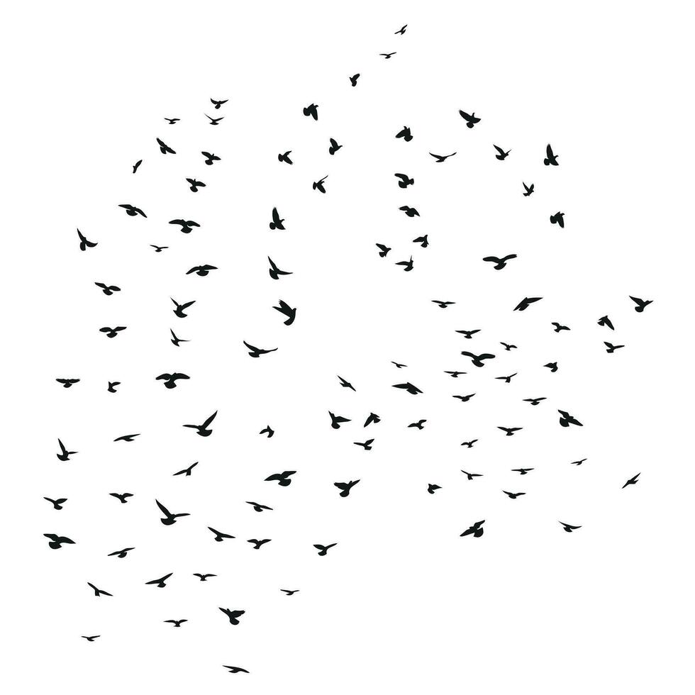 esquisser dessin de une silhouette de une troupeau de des oiseaux en volant avant. décoller, en volant, vol, battement, flotter, planant, atterrissage vecteur