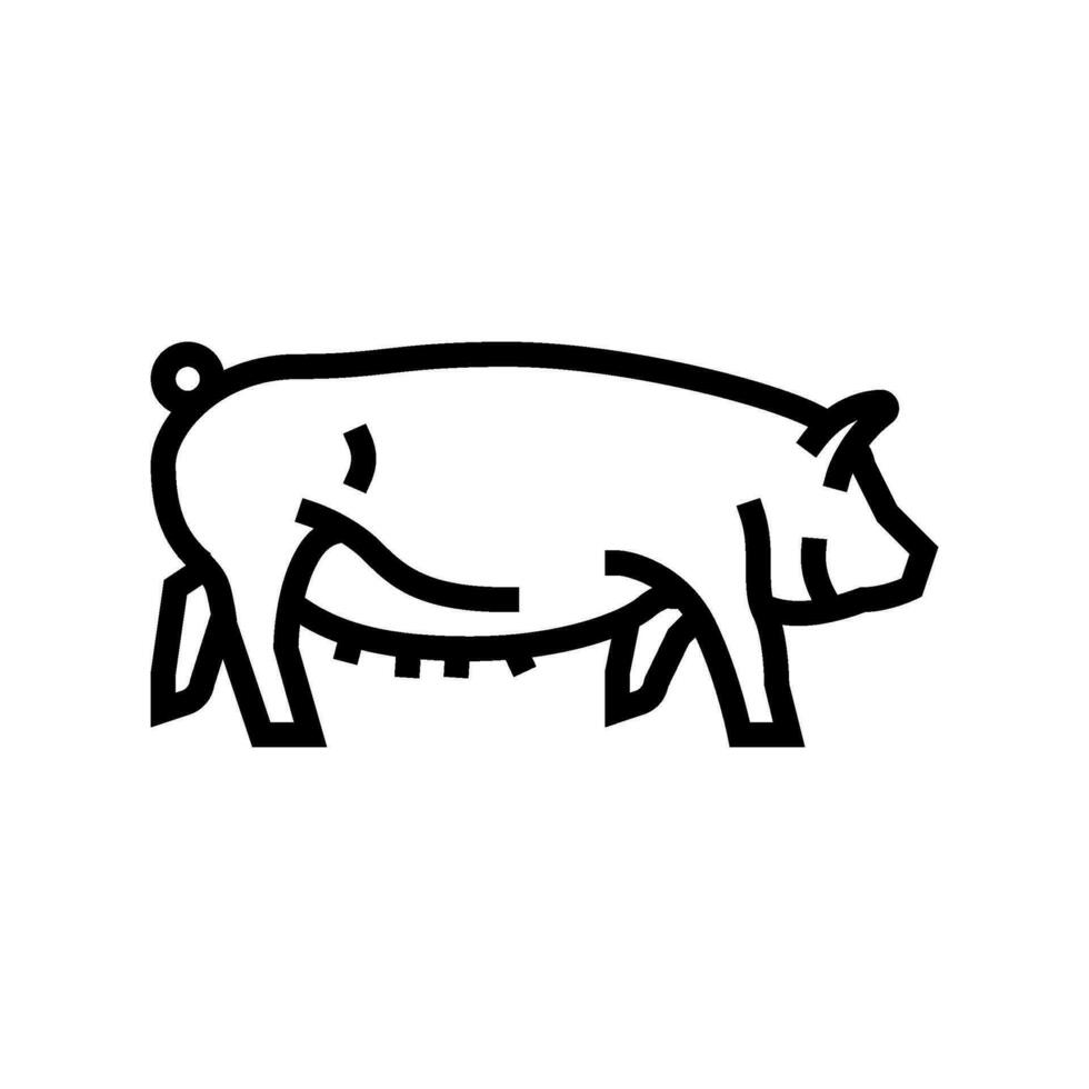 Yorkshire porc race ligne icône vecteur illustration