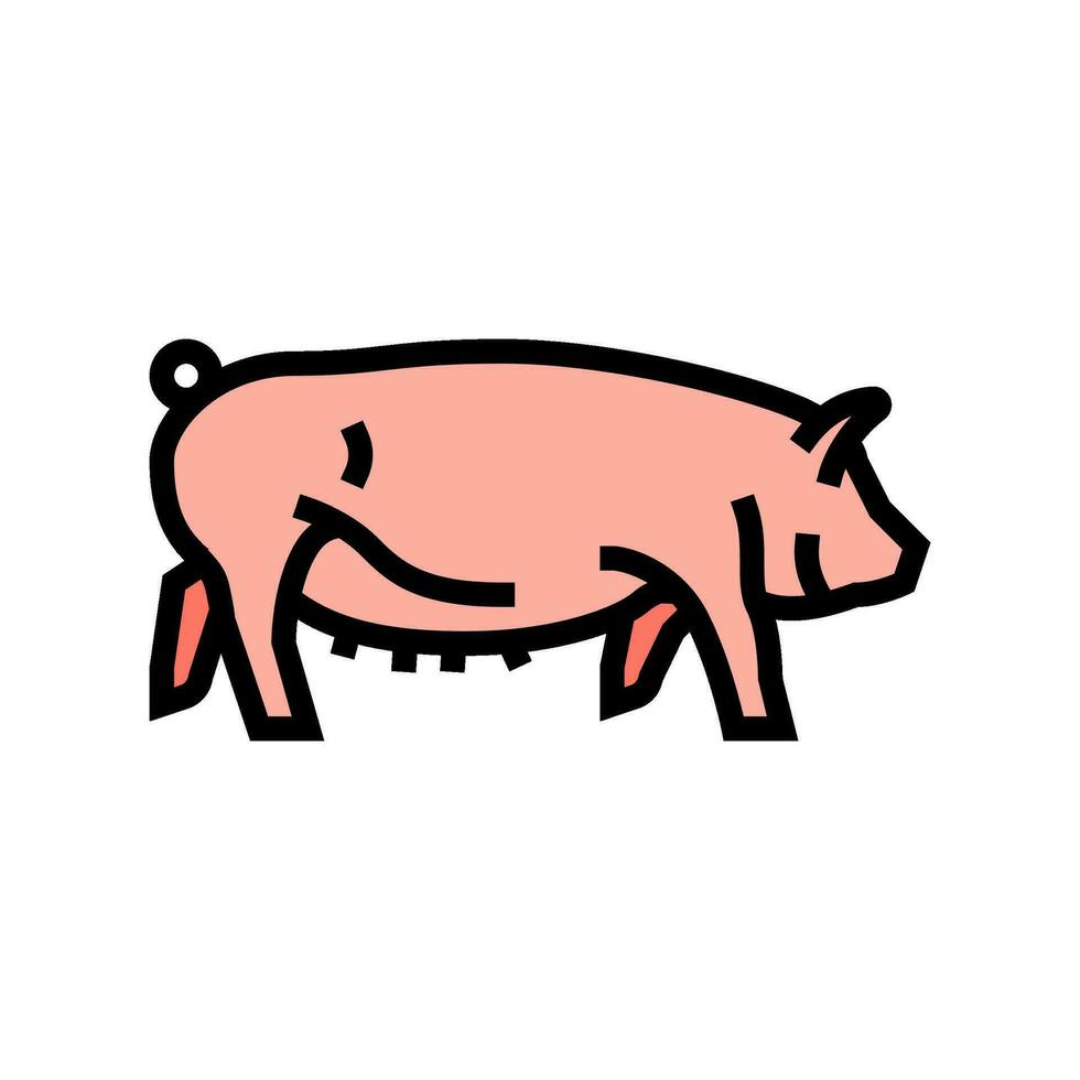 Yorkshire porc race Couleur icône vecteur illustration