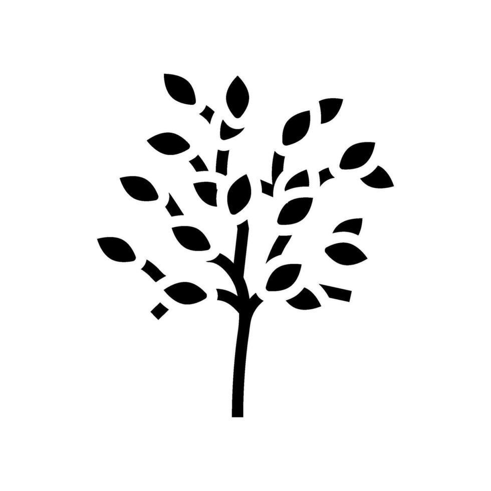 sakaki arbre branche shintoïsme glyphe icône vecteur illustration