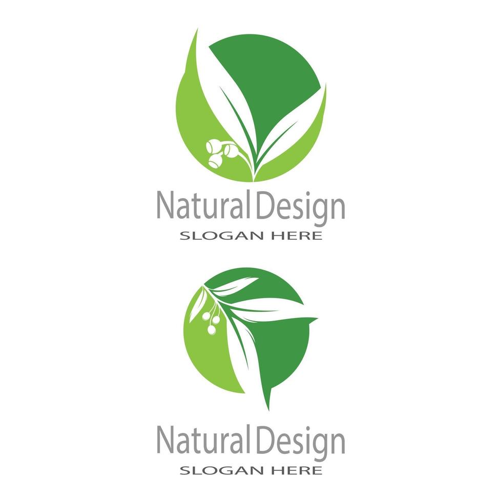 modèle de logo feuille icône vector illustration design