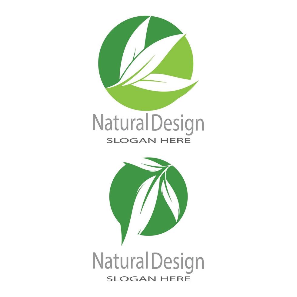 modèle de logo feuille icône vector illustration design