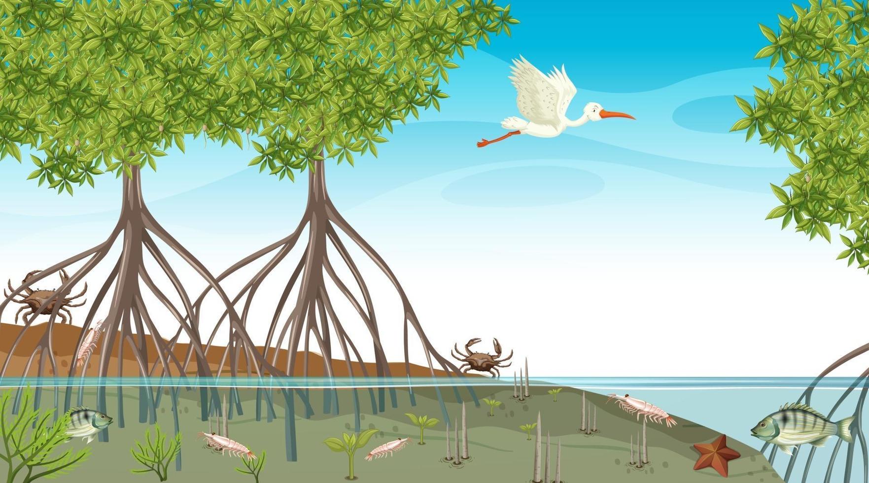 les animaux vivent dans la forêt de mangrove pendant la journée vecteur