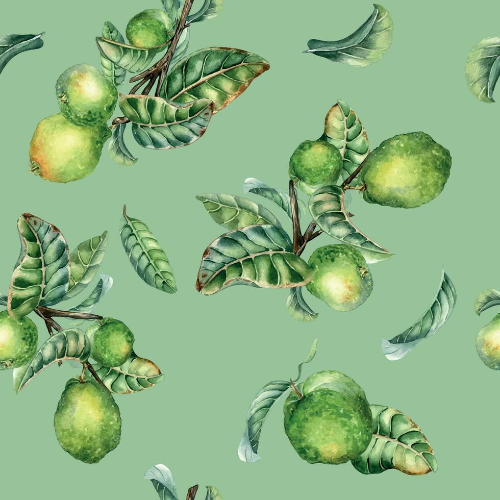 branche de arbre et Célibataire goyave fruit aquarelle sans couture modèle isolé sur vert Contexte. vert feuilles, fleurs de goyave main dessiné. conception pour emballage, emballage, tissu, papier, textile vecteur