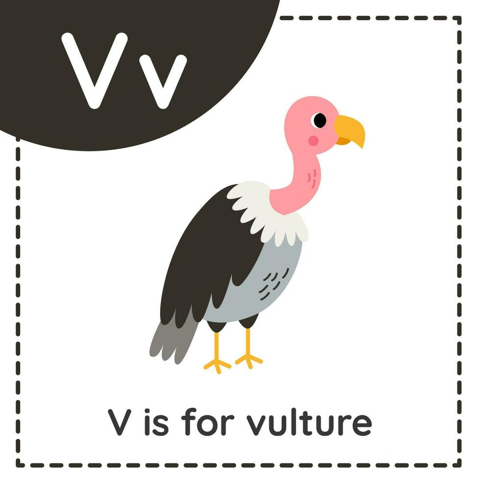 apprentissage Anglais alphabet pour enfants. lettre v. mignonne dessin animé vautour. vecteur