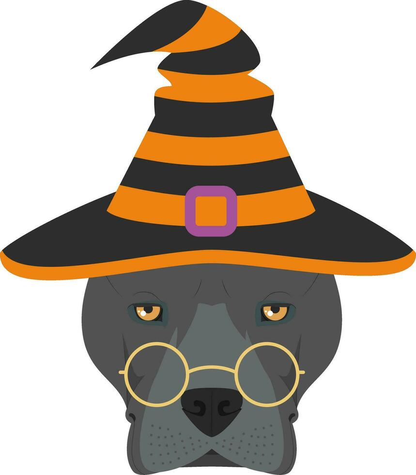 Halloween salutation carte. américain Staffordshire terrier chien habillé comme une sorcière avec des lunettes et noir et Orange chapeau vecteur