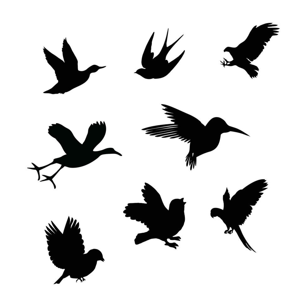 des oiseaux mouche librement silhouette conception. vecteur