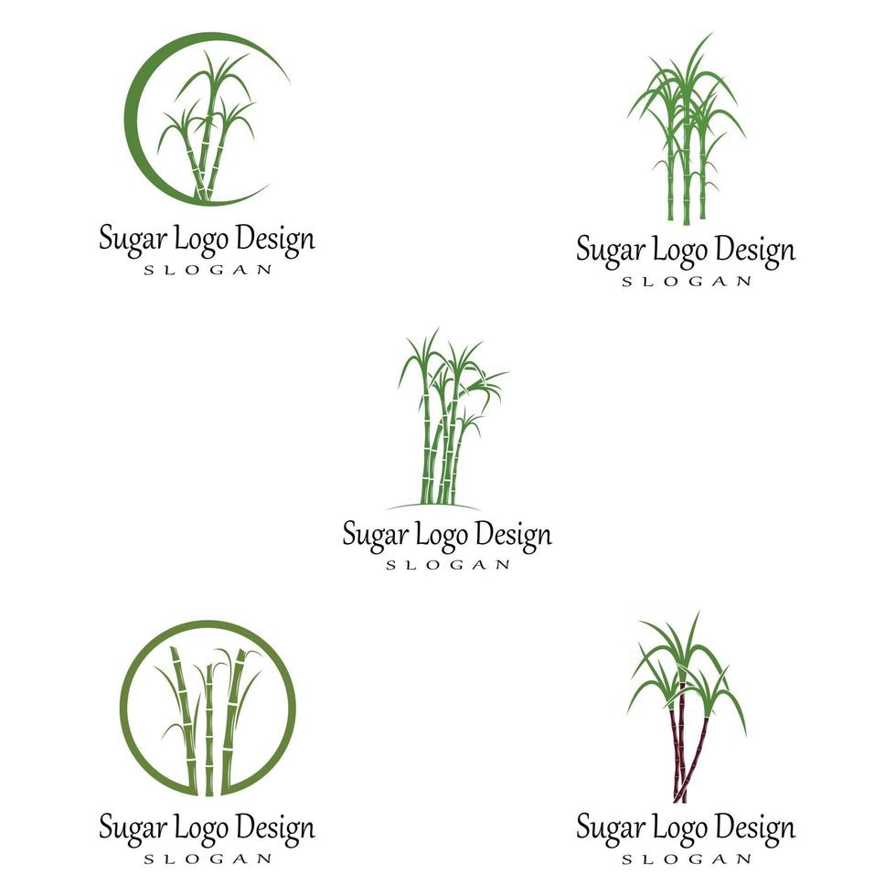 canne à sucre logo modèle vecteur symbole nature