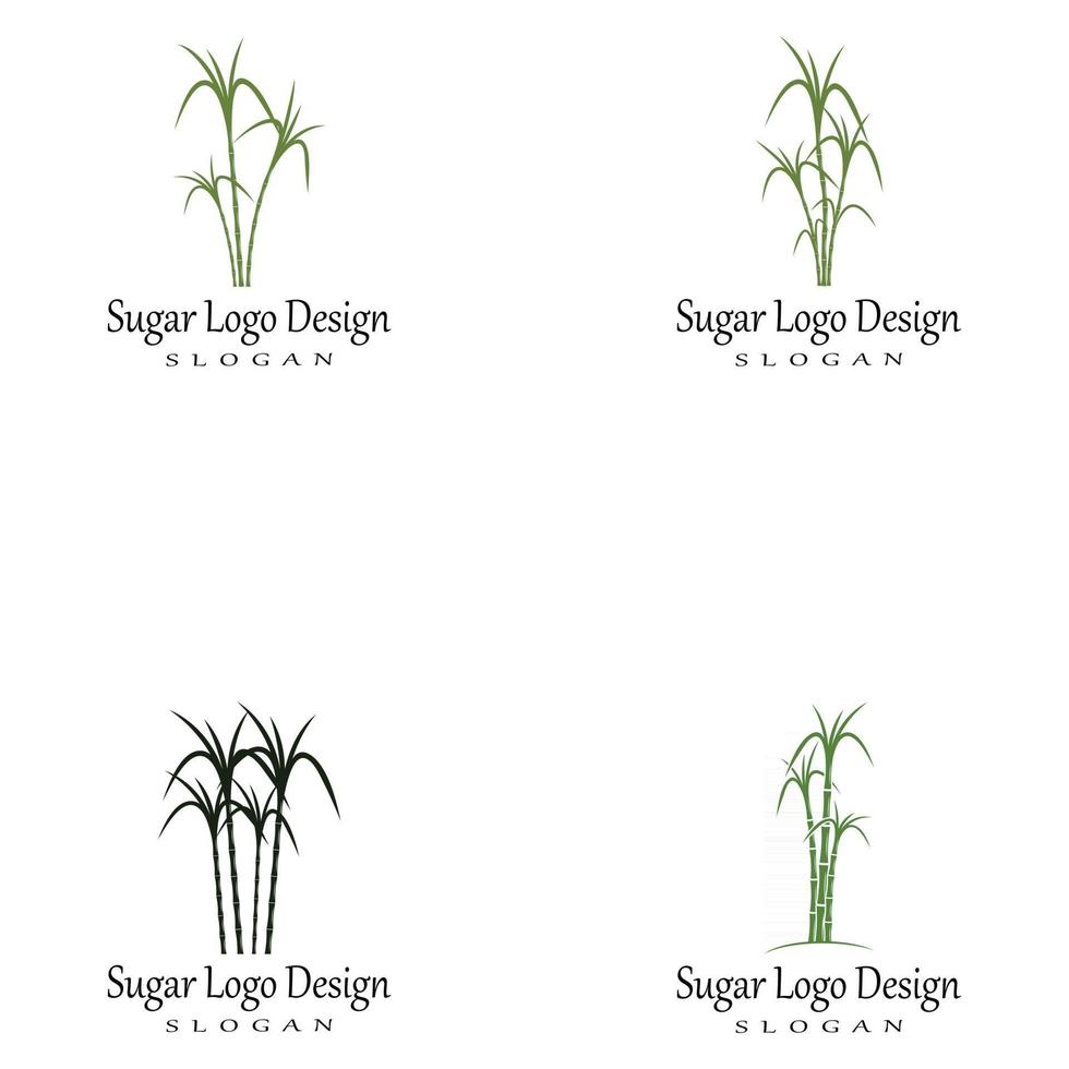canne à sucre logo modèle vecteur symbole nature