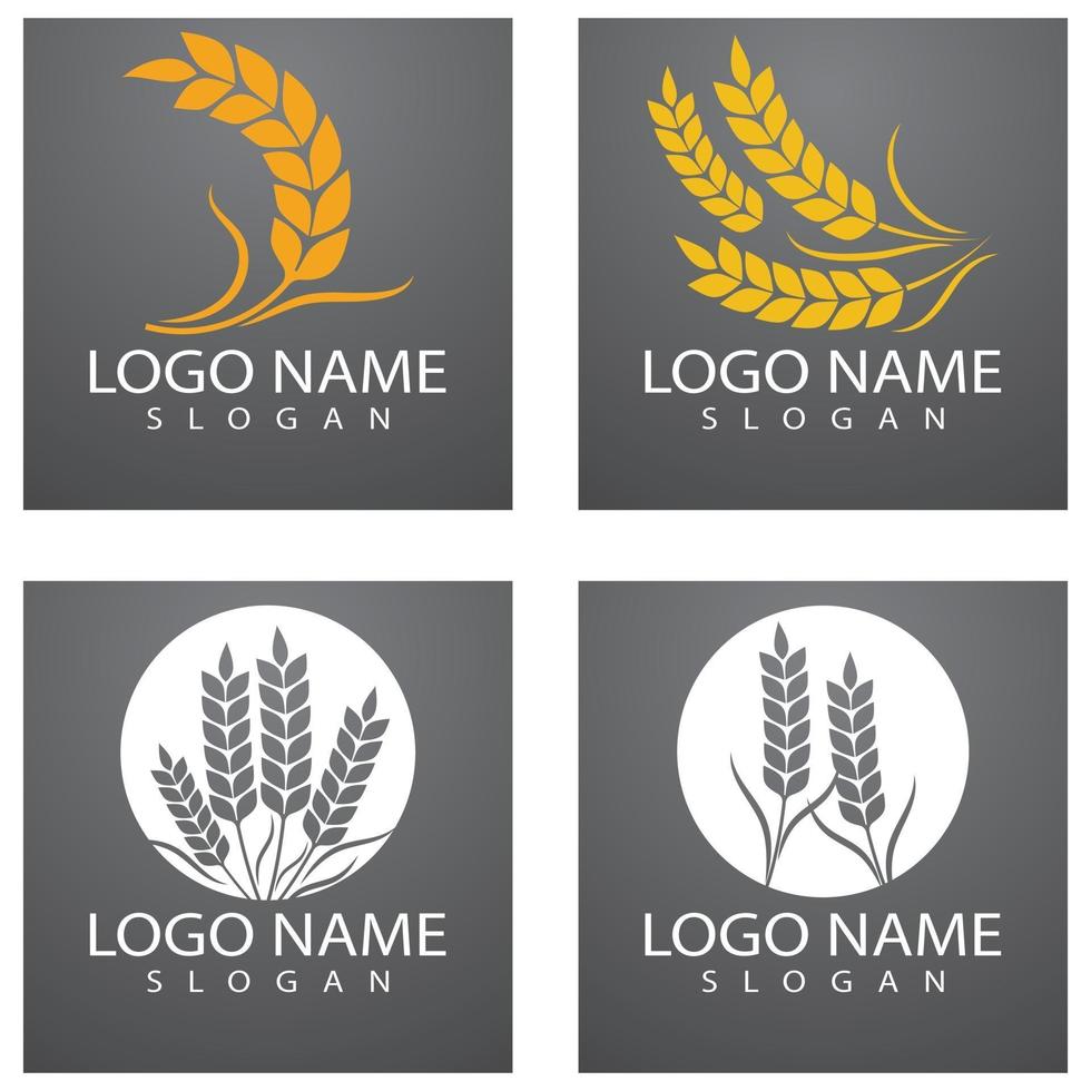 agriculture blé logo modèle vecteur icône design