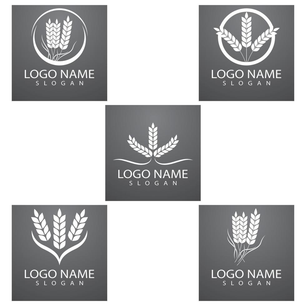 agriculture blé logo modèle vecteur icône design