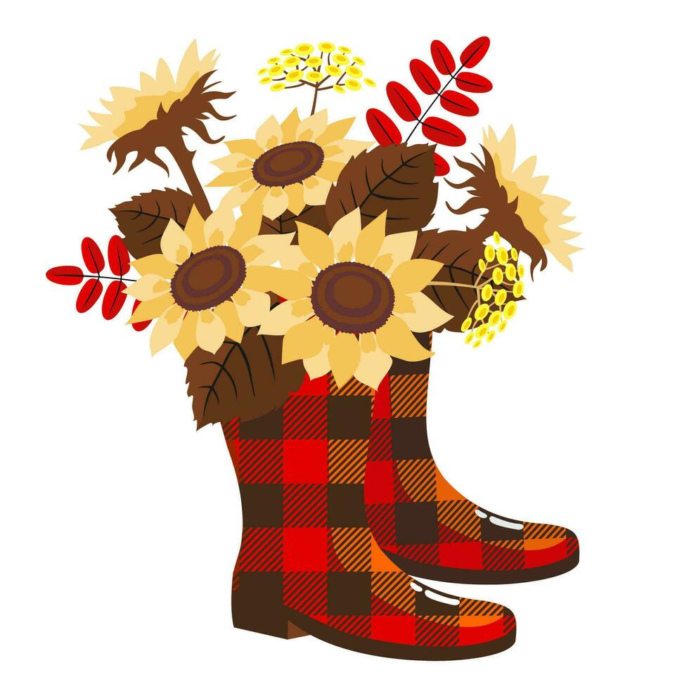 à carreaux caoutchouc bottes avec un l'automne bouquet de tournesols. illustré vecteur élément.