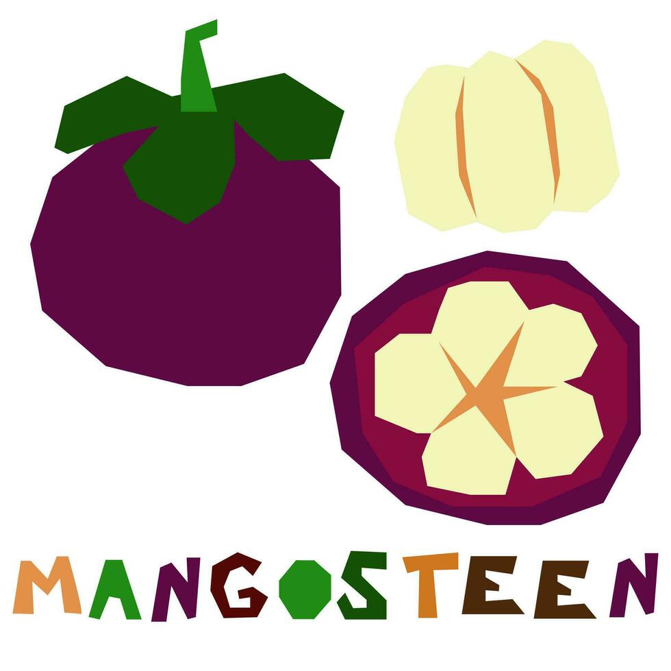 violet mangoustan, entier et dans section, est Souligné sur une blanc Contexte. le original Signature est mangoustan. juteux été des fruits pour biologique nourriture emballage. géométrique stylisé plat vecteur