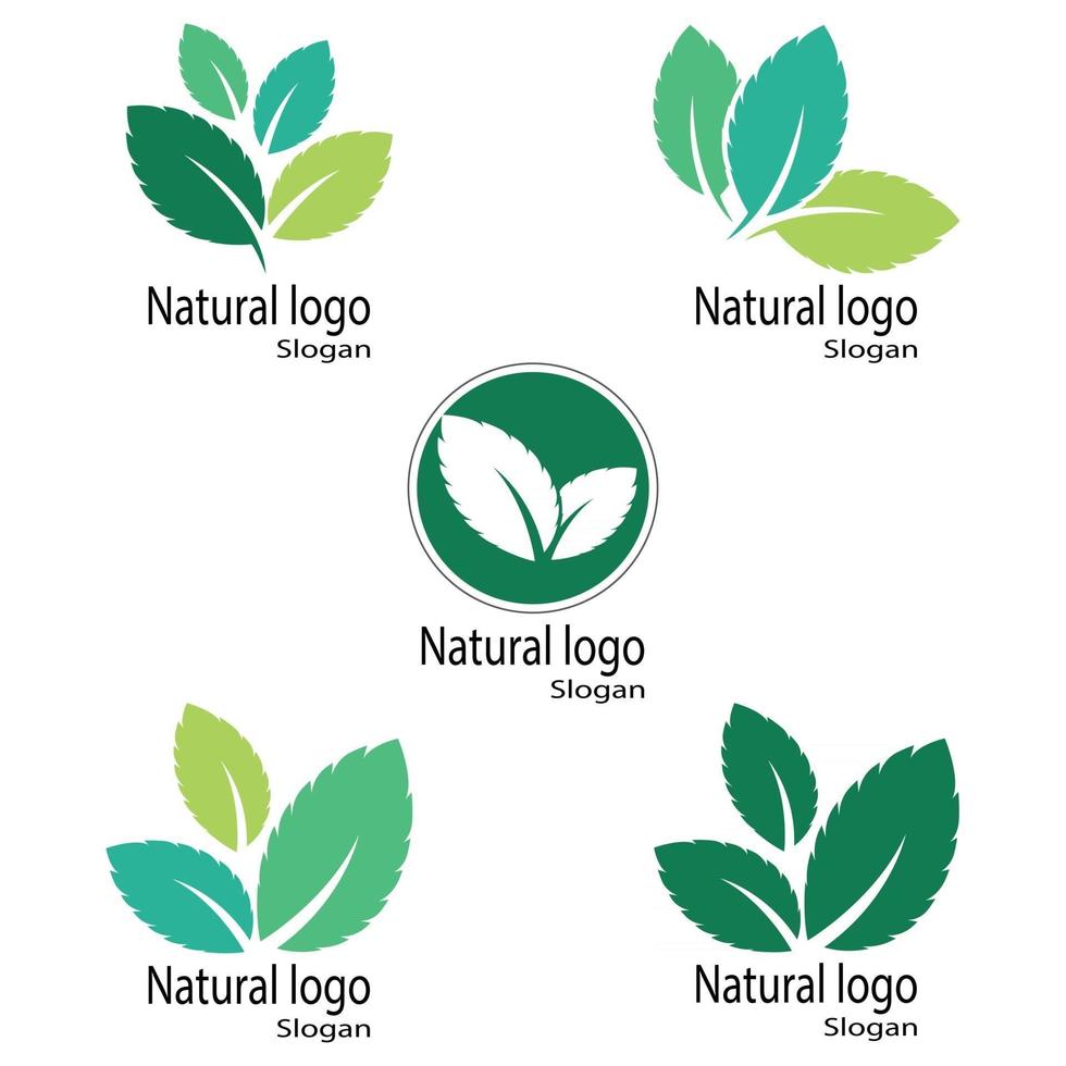 modèle de logo feuille icône vector illustration design