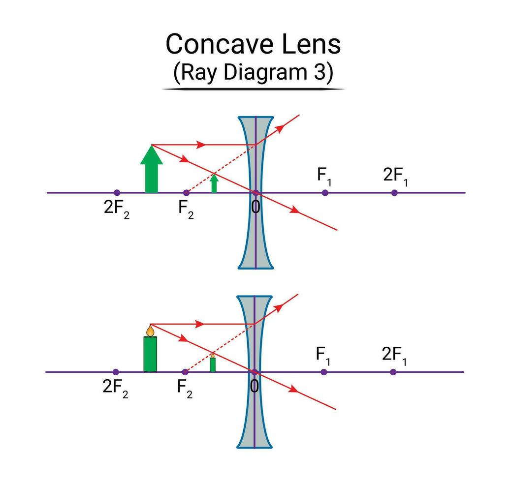 concave lentille rayon diagramme 3 vecteur