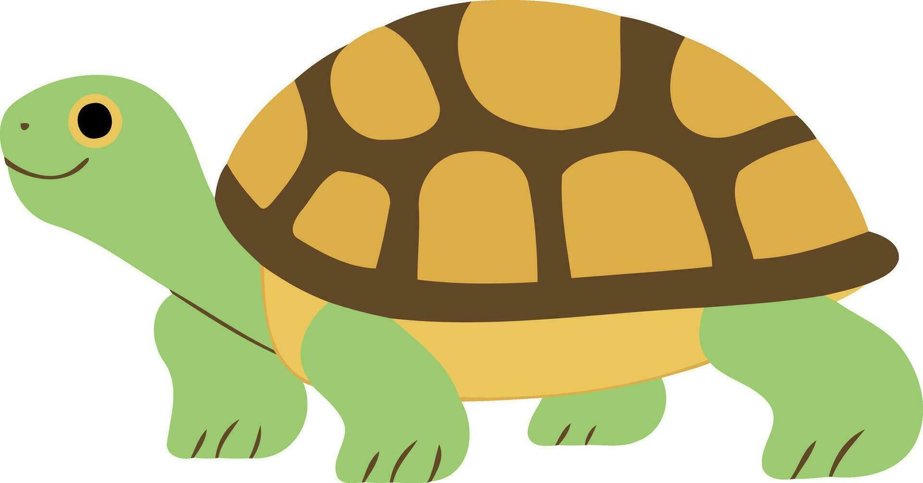 animal reptile tortue mignonne vecteur