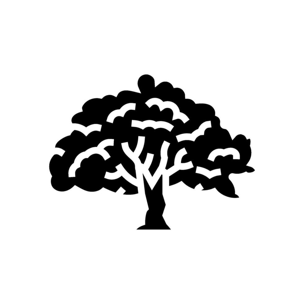 Bodhi arbre bouddhisme glyphe icône vecteur illustration