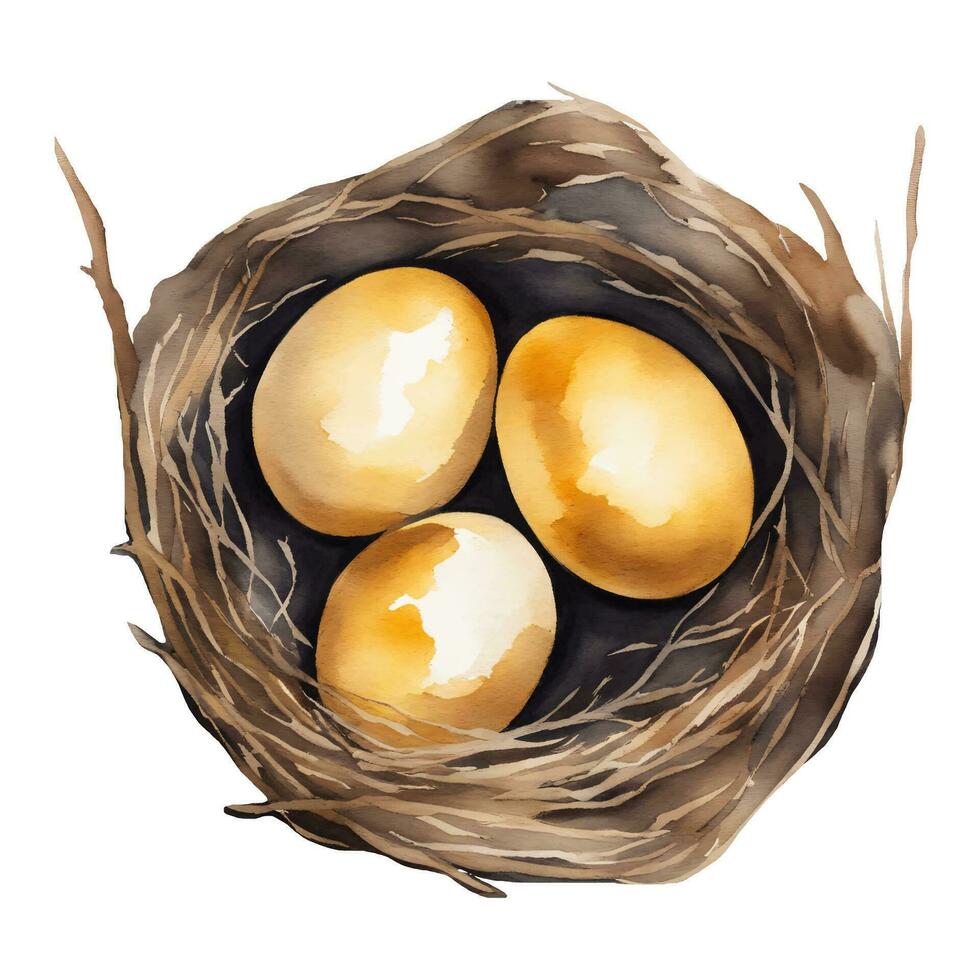 d'or des œufs dans le nid Haut vue isolé main tiré aquarelle La peinture illustration vecteur
