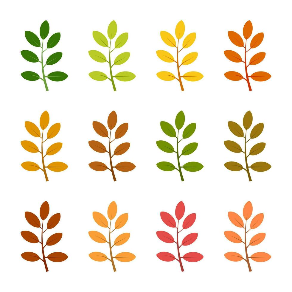 ensemble de douze feuilles d'automne dans différentes couleurs d'automne. illustration vectorielle. vecteur