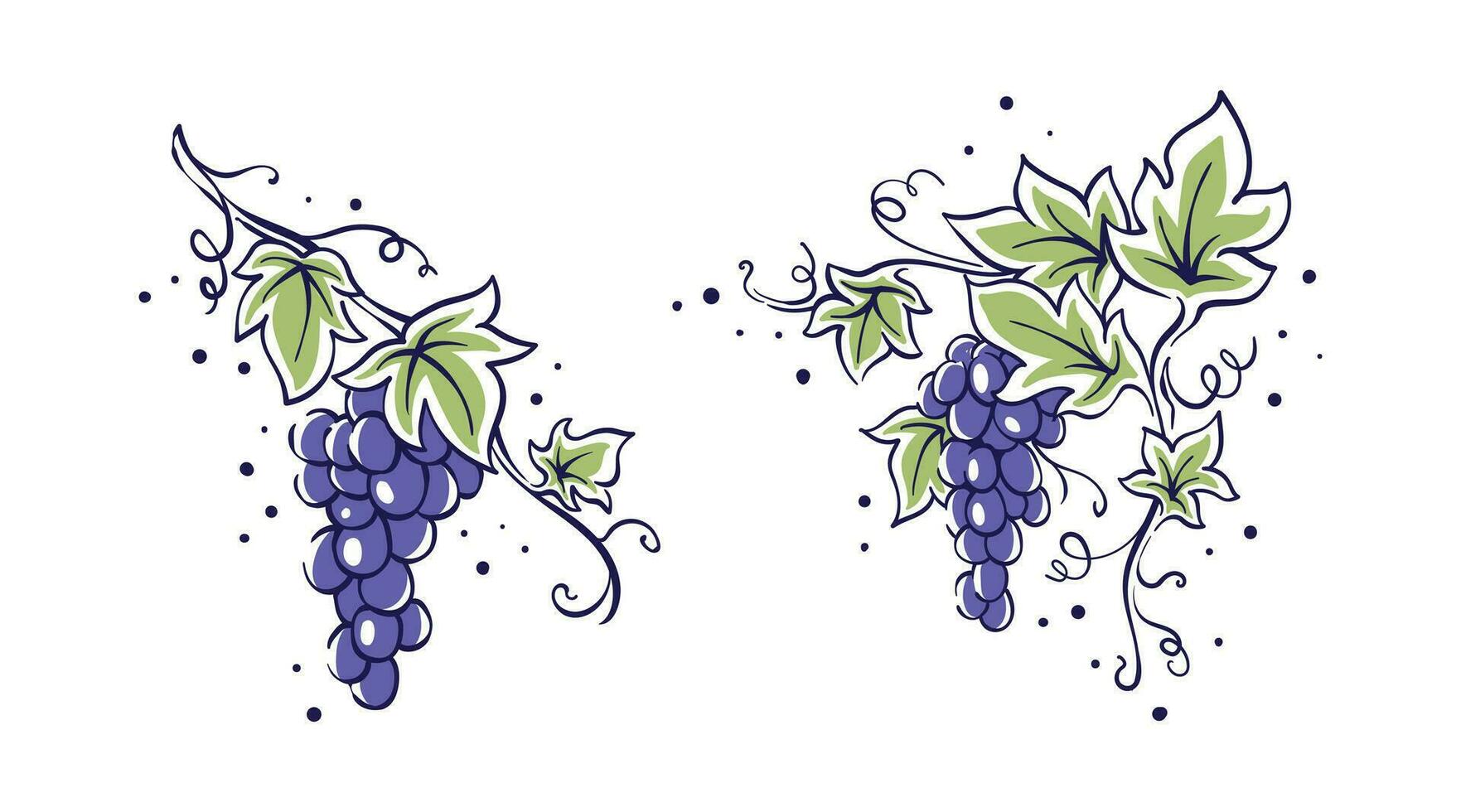 les raisins vigne esquisser vecteur illustration myrtille avec feuilles main tiré conception