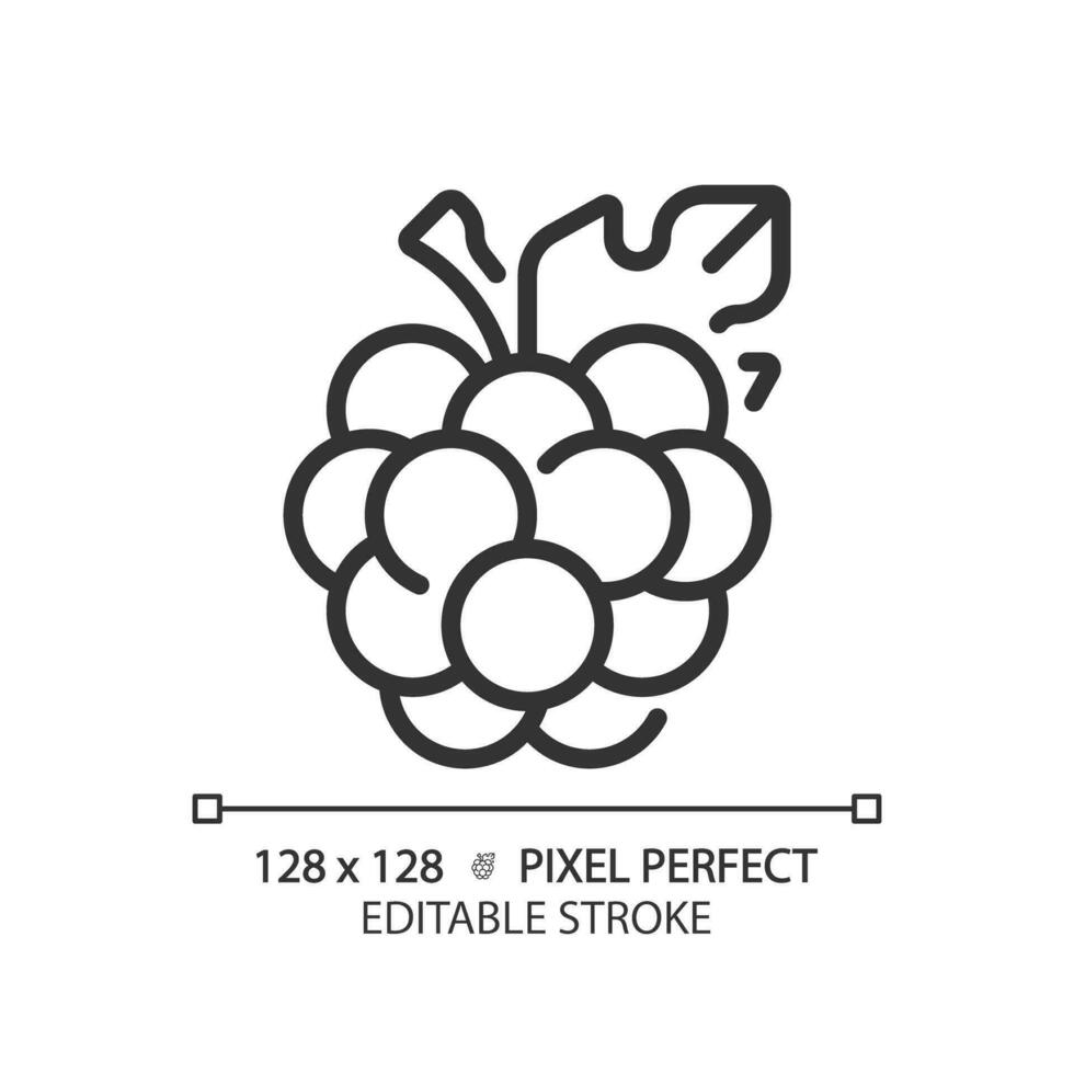 baies pixel parfait linéaire icône. Frais mûre. en bonne santé aliments. été fruit. bien-être mode de vie. mince ligne illustration. contour symbole. vecteur contour dessin. modifiable accident vasculaire cérébral