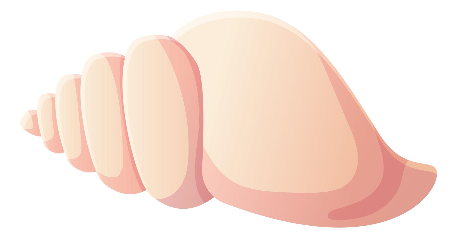 coquillage de pétoncle rose. clipart de plage, concept d'élément océanique. illustration vectorielle stock isolée sur fond blanc dans un style cartoon plat vecteur