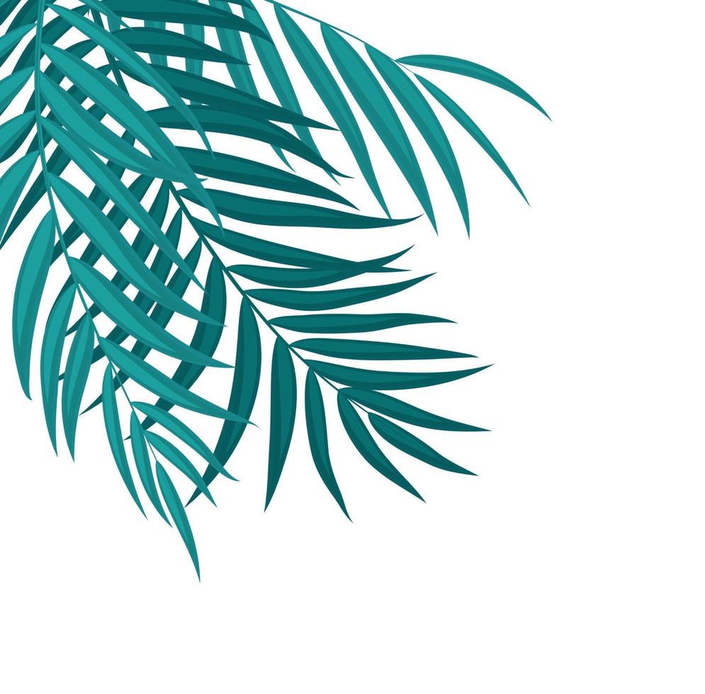 Beautifil palm tree leaf silhouette background vector illustration