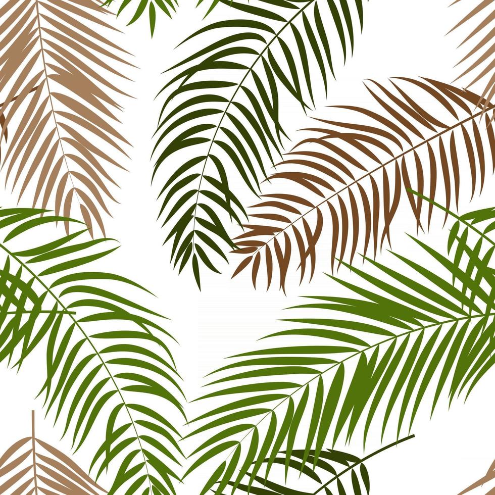 palmier feuille silhouette fond vecteur illustrat
