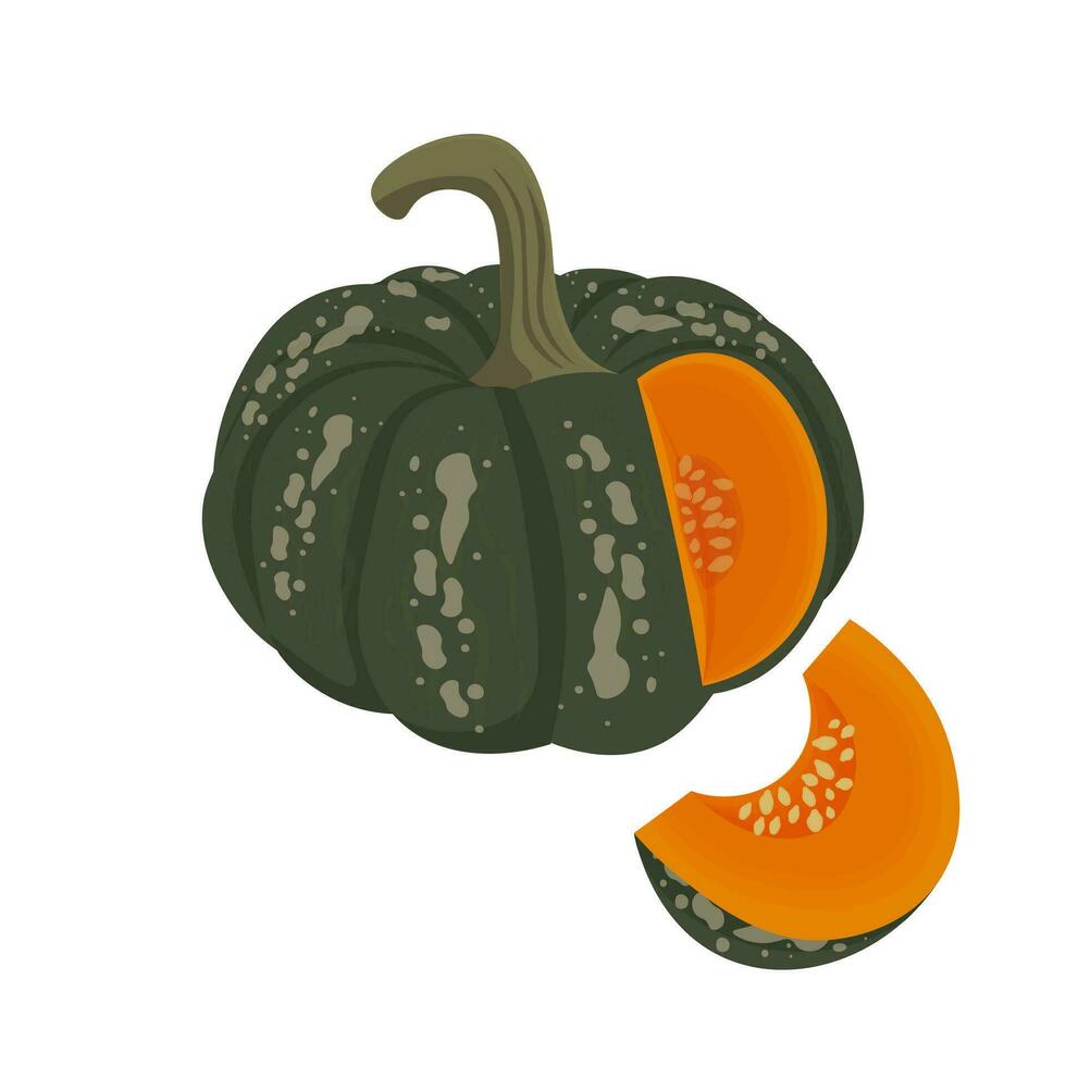 Couper vert Kabocha citrouille vecteur illustration logo