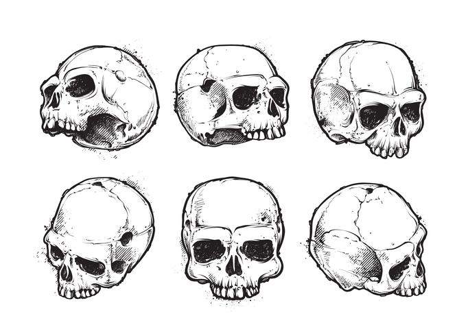 Crânes dessinés à la main vecteur