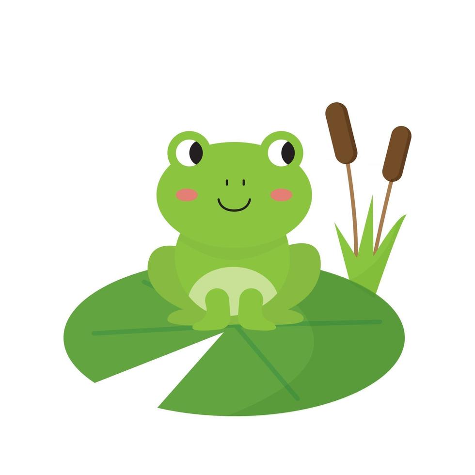 Poster Grenouille verte heureuse 