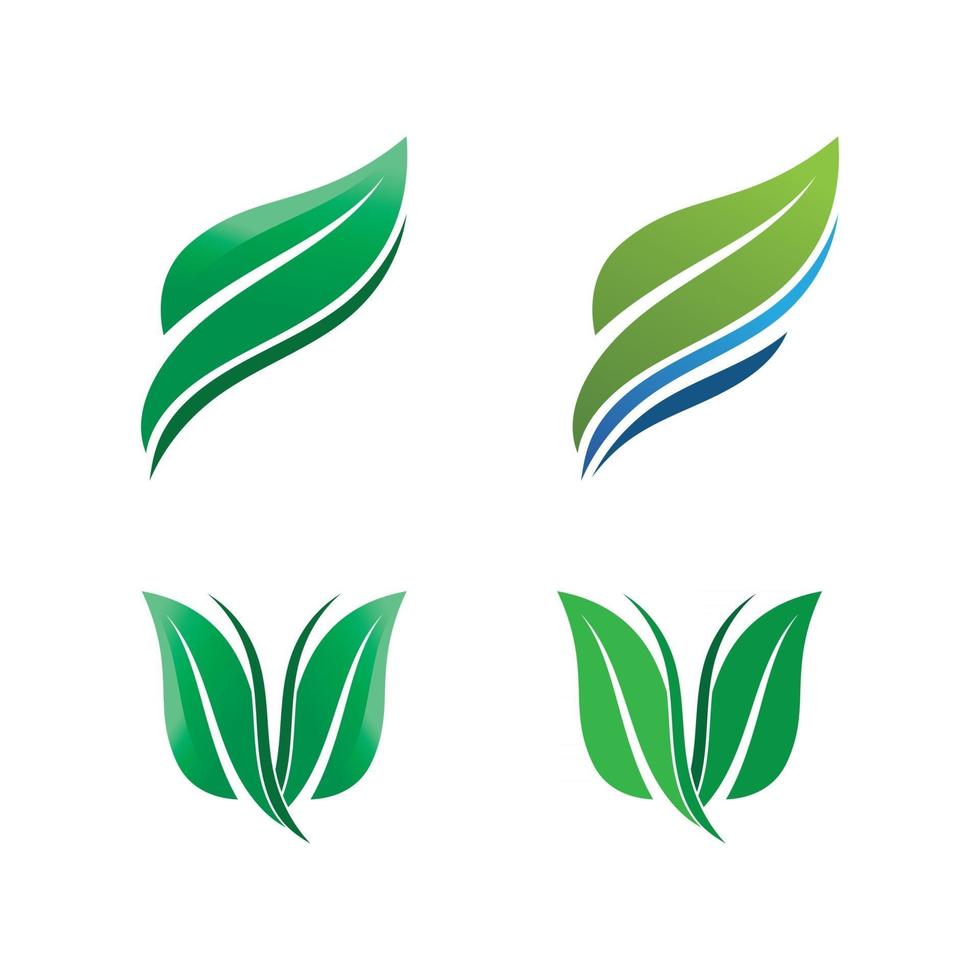 conception de vecteur de feuille darbre logo concept écologique