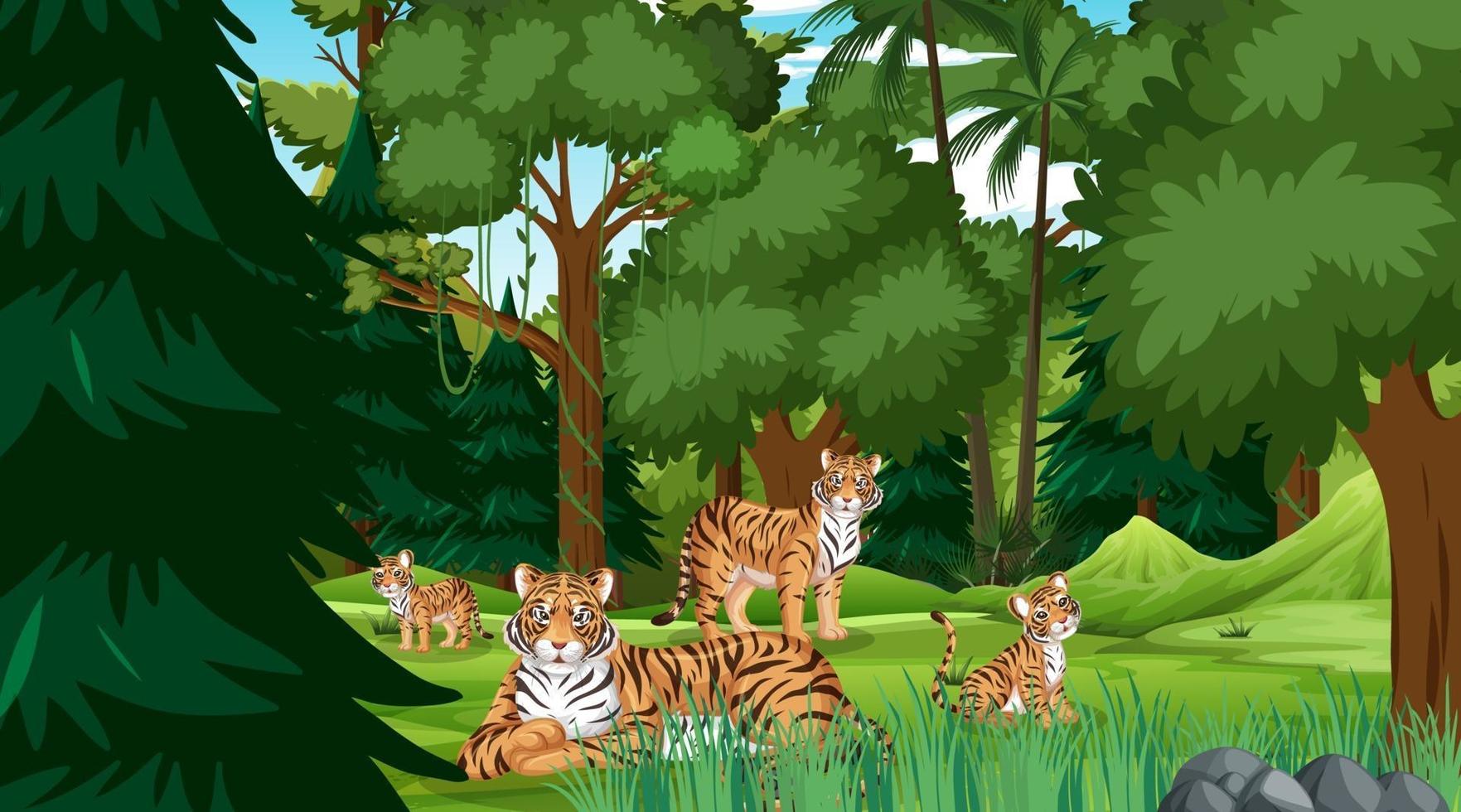 famille de tigres dans une scène de forêt ou de forêt tropicale avec de nombreux arbres vecteur