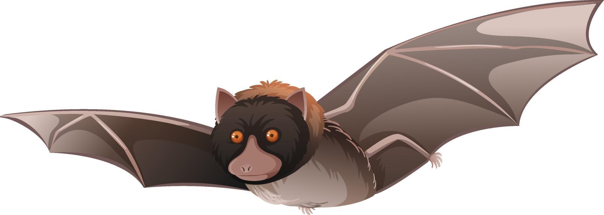 personnage de dessin animé animal d'une chauve-souris sur fond blanc vecteur