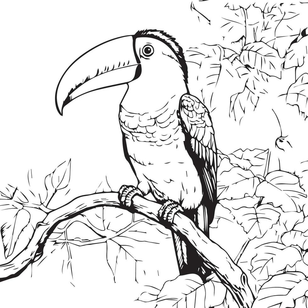 toucan oiseau coloration page vecteur