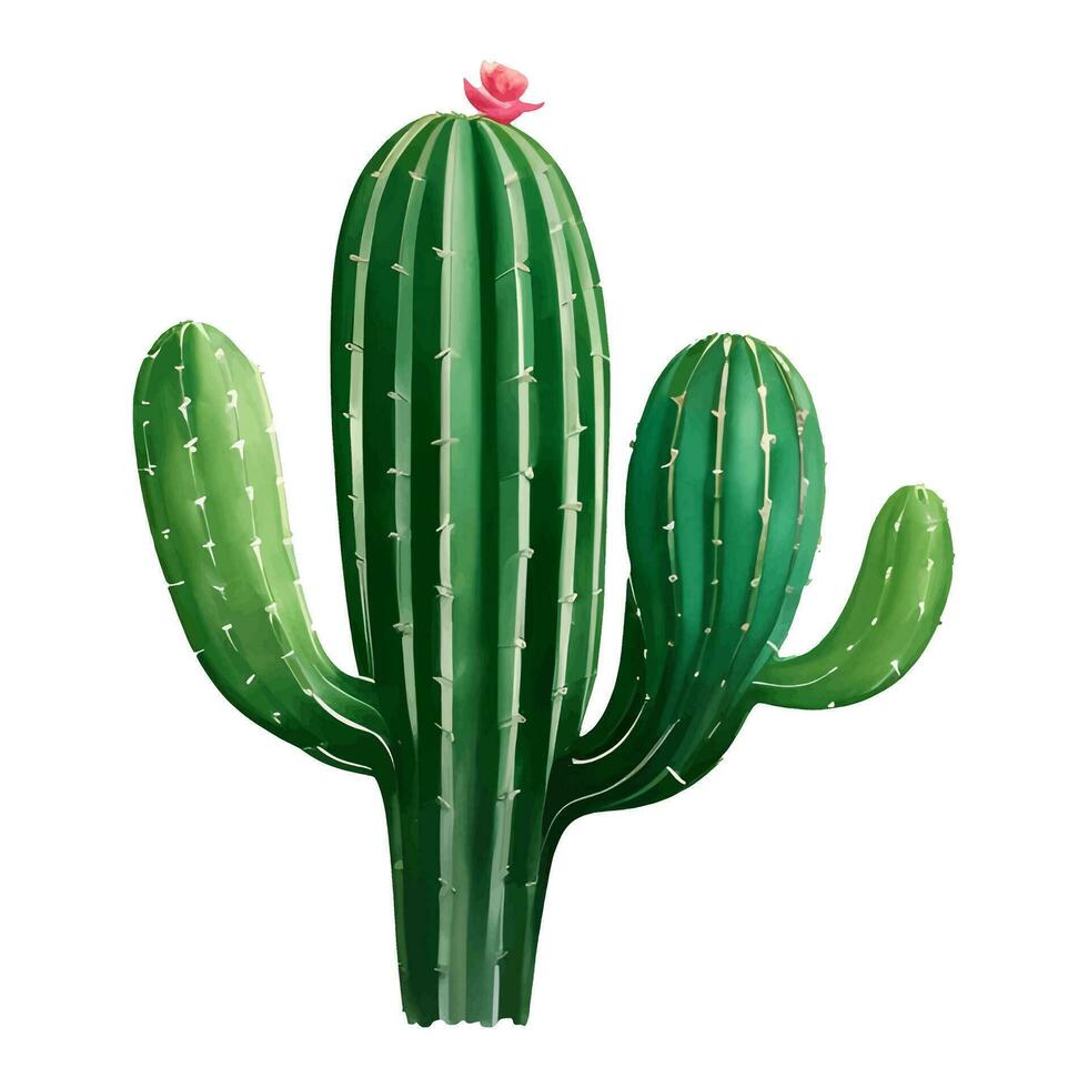 cactus avec fleur isolé détaillé main tiré La peinture illustration vecteur