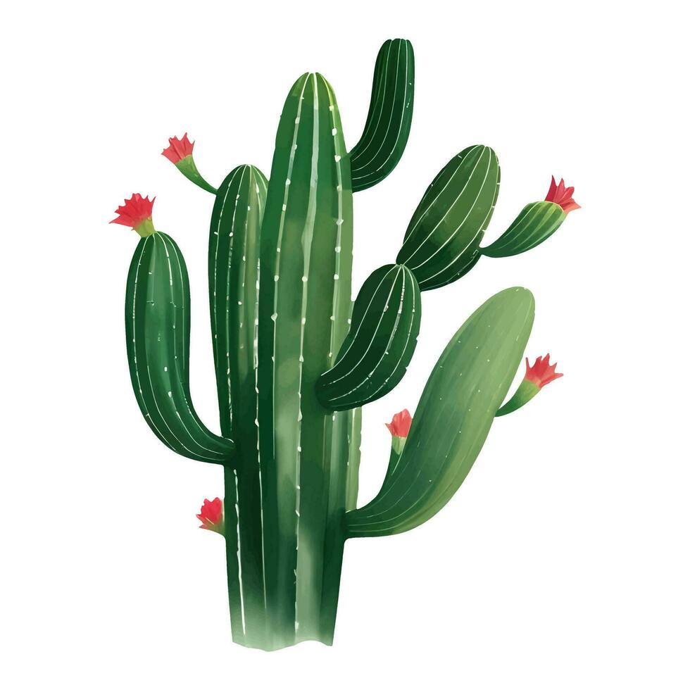 cactus avec fleurs isolé détaillé main tiré La peinture illustration vecteur