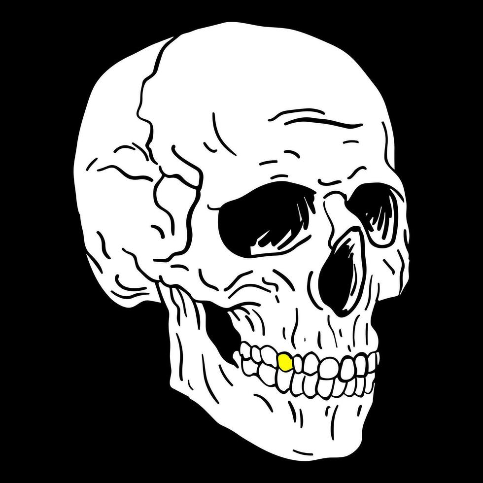 noir et blanc Humain crâne avec une inférieur mâchoire. vecteur